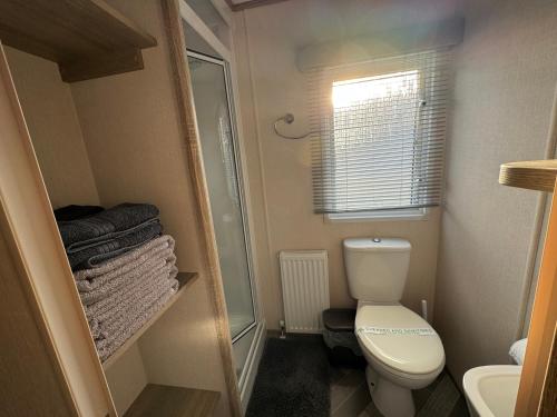 a small bathroom with a toilet and a shower at Comfy Cosy Caravan_Romney Sands in Littlestone-on-Sea