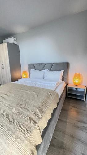 a bedroom with a large bed with two lamps on the side at Дворівневий апартамент з кухнею N6 in Chernivtsi