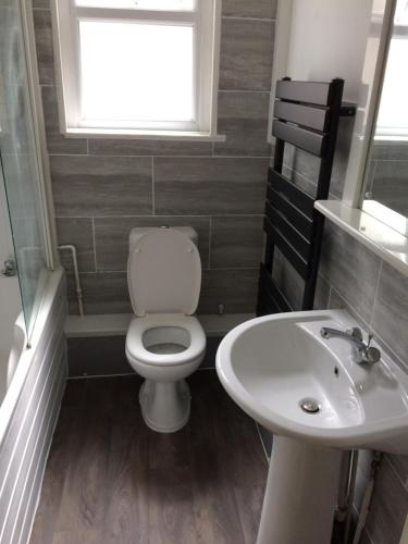 a bathroom with a toilet and a sink and a window at 101 - Room 2 - Uplands in Sketty