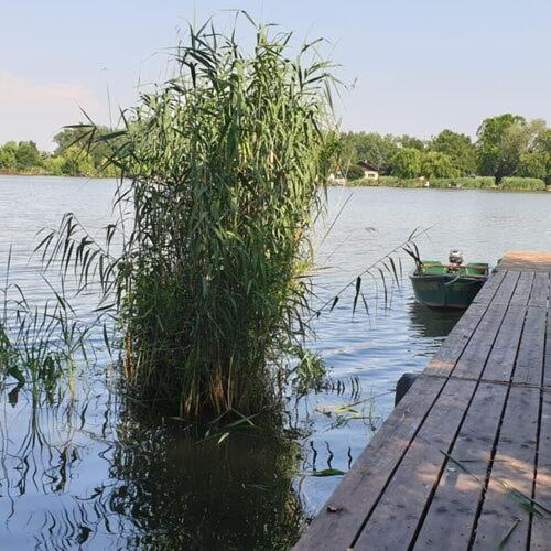 Vue sur la rivière ou le fleuve situé(e) à proximité de l'appartement