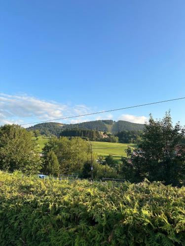 a view of a field of grass and trees at ''Le Nid Alpin'' Petit cocon avec vue sur les pistes de Métabief in Métabief