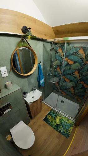a bathroom with a shower and a toilet and a sink at Studio z widokiem na park in Srebrna Góra