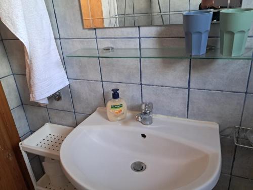 a bathroom sink with a bottle of soap on it at Campus Verde in Eleftheres