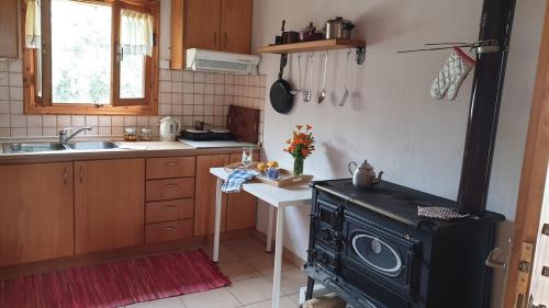 a kitchen with a black stove and a sink at Campus Verde in Eleftheres