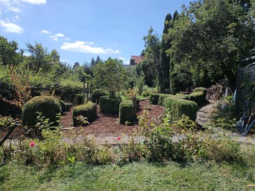 a garden with hedges and flowers on a sunny day at Cafe und Pension am Rennsteig in Blankenstein