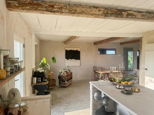 BallenNature Retreat With Sea View Near Ballen On Samsø的厨房有一个柜台，上面放着一碗水果