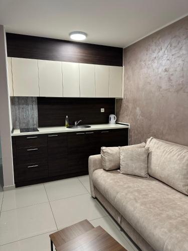Η κουζίνα ή μικρή κουζίνα στο Panorama apartments