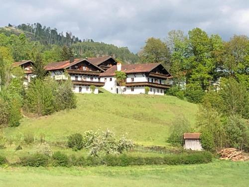 a large house on top of a green hill at Grosse-Ferienwohnung-Pool-Sauna-Hallenbad-Wintersport-bei-Passau in Hauzenberg