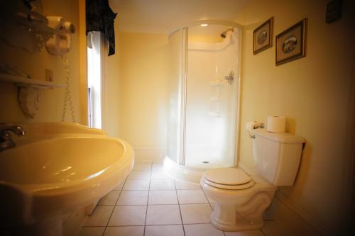 a bathroom with a toilet and a shower and a sink at Inn on Frederick in Saint Andrews