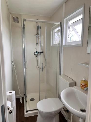 a bathroom with a shower and a toilet and a sink at Chalet de Elina - comfortable chalet for a relaxing stay in Voorthuizen