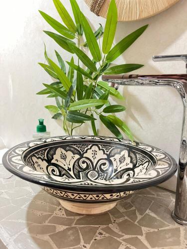 a black and white sink with a plant in it at Casa Z Morocco in Tamraght Ouzdar
