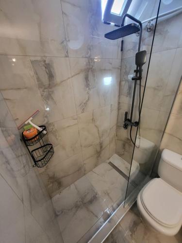 a bathroom with a shower with a toilet at Vila Pejic Xenia beach in Paliouri