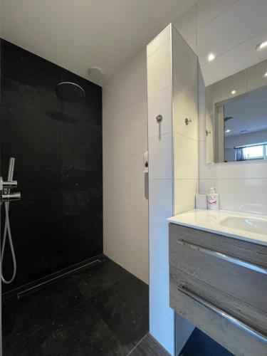 a bathroom with a shower and a sink and a mirror at Westkapelle comfortabele Strandkamer aan de Kreek in Westkapelle