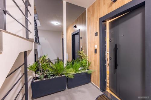 an open door with plants in a hallway at Ohrid Central Apartment - FREE Private Parking in Ohrid