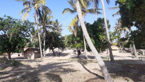 a group of palm trees and a shack in a field at Stunning sea view, charming beach house in Barra, Mozambique - 4x4 in Miramar