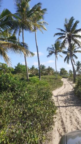 a car driving down a dirt road with palm trees at Stunning sea view, charming beach house in Barra, Mozambique - 4x4 in Miramar