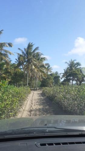 a dirt road with palm trees on the side at Stunning sea view, charming beach house in Barra, Mozambique - 4x4 in Miramar