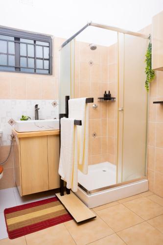 a bathroom with a shower with towels and a sink at 47 The Heights, Area 47, Sector 1, Lilongwe in Lilongwe