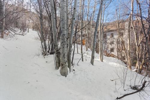 a group of trees in the snow next to a building at Renovated 2 BR Aspen Condo Ski-in out in Aspen