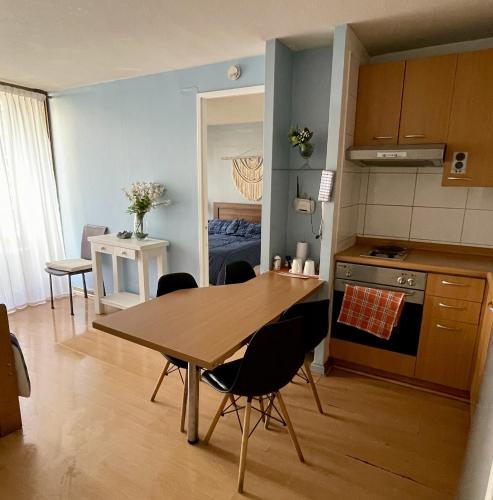 Virtuvė arba virtuvėlė apgyvendinimo įstaigoje BA Suites