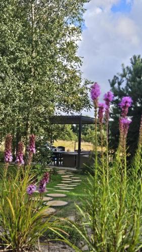 Zahrada ubytování Ciekocino Forest Apartamenty nad morzem