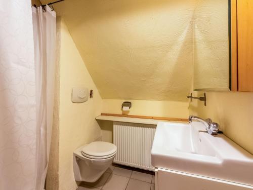 a bathroom with a toilet and a sink at Oud-Rekem Heritage Hideaway in Uikhoven