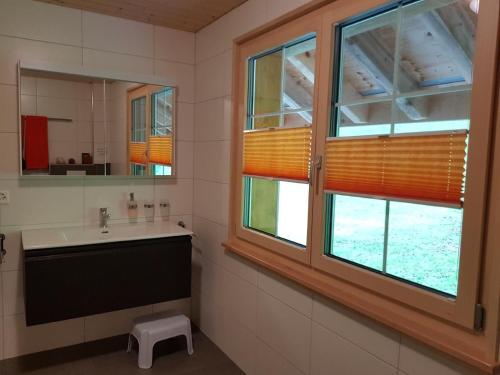 a bathroom with a sink and a mirror at Ferien Im Gugger Wohnung Stockberg in Nesslau