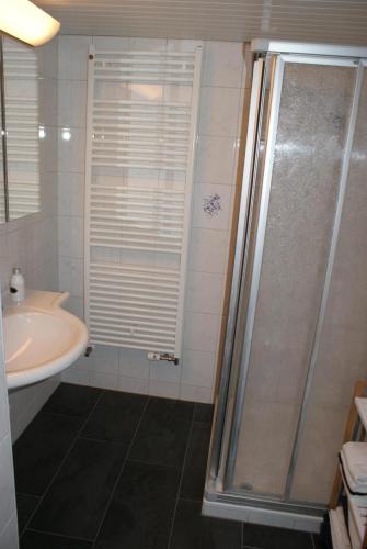 a bathroom with a shower and a sink at Abigrot in Hasliberg Wasserwendi