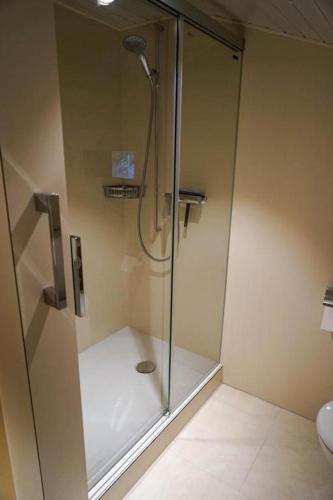 a shower with a glass door in a bathroom at Brachli in Innertkirchen