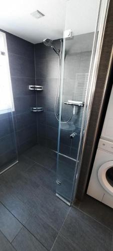 a shower with a glass door in a bathroom at Gemütliche Und Geräumige Ferienwohnung in Nesslau