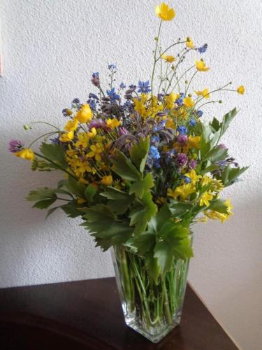 Gallery image of Manser, Ferien beim Bauer 1 Stock in Oberhegi