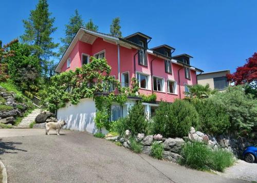 a dog standing in front of a pink house at Pilgerwohnung in Wald