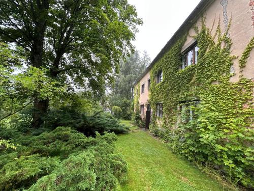 an ivy covered building next to a yard at Chata Myslivna v centru Vysočiny Herálec in Žďár nad Sázavou