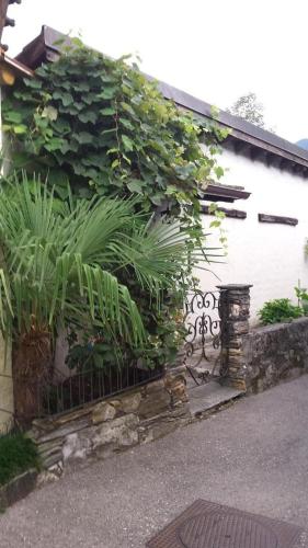 a building with plants on the side of it at Haus San Cristoforo Atelier in Maggia