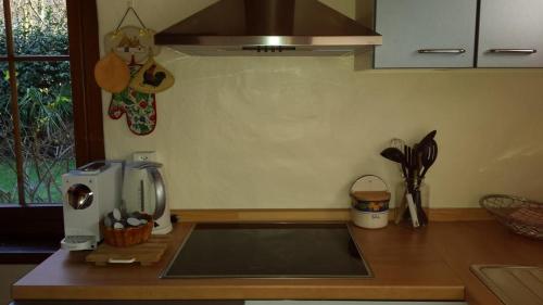 a kitchen with a counter top with a coffee maker at Haus San Cristoforo Atelier in Maggia