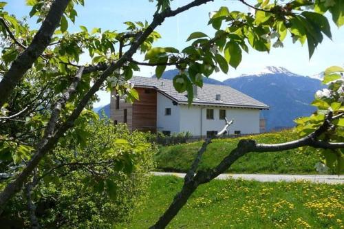 a white house with a mountain in the background at Hof Quadra in Flerden