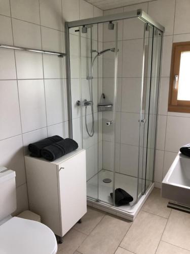 a bathroom with a glass shower with a sink at Chesa Muntanella in Sils Maria