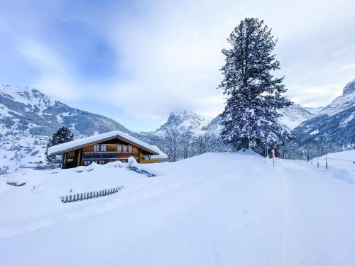 グリンデルワルトにあるFerienhaus Chalet Simeliの雪の中の木の丸太小屋