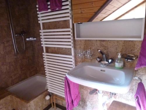 a bathroom with a sink and a shower at Bauernhof Ufem Berg in Herisau