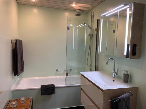 a bathroom with a shower and a sink and a tub at Chäserruggblick in Unterwasser