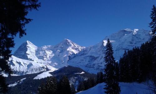 a snow covered mountain range with trees and snow at Bühlengasse 6 in Grindelwald