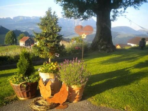 two pots of flowers and a tree in a field at Bauernhof Fendrig Neue Wohnung in Haslen