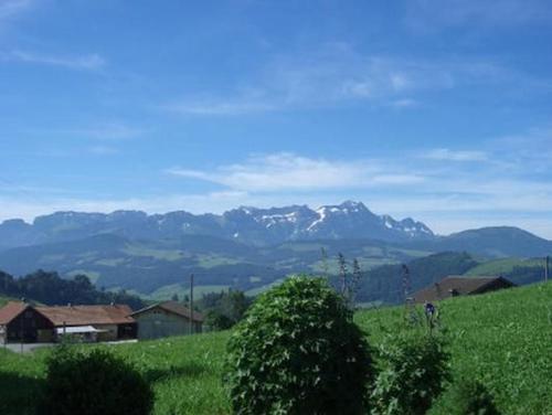 a green field with mountains in the background at Bauernhof Fendrig Neue Wohnung in Haslen