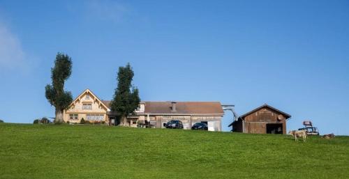 a house on top of a grassy hill with a cow at Bauernhof Fendrig Neue Wohnung in Haslen