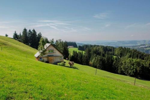 a house on the side of a green hill at Bauernhof Fendrig Neue Wohnung in Haslen