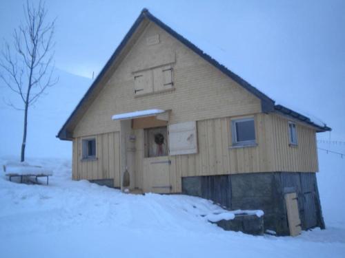 a house with a dog looking out of the window at Bauernhof Fendrig Neue Wohnung in Haslen