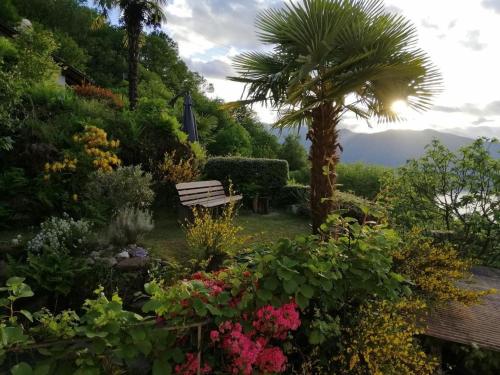 a bench in a garden with a palm tree and flowers at Casa Barbara in Piazzogna