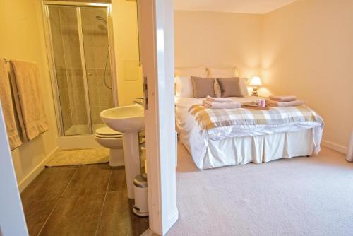 爱丁堡The Ice House的一间带床、水槽和厕所的卧室