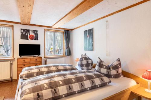 a bedroom with a bed and a flat screen tv at Pension Ferienwohnung Baarblick in Donaueschingen