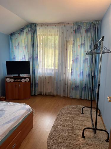 Gallery image of Vila dintre Munți in Cheia